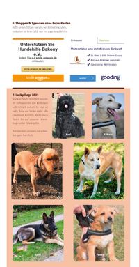 Hundehilfe Bakony_Newsletter_02-2021-8_neu_Seite_6